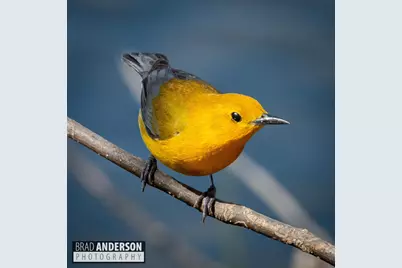 30169 513th Avenue, Ottertail, MN 56571 - Photo 29