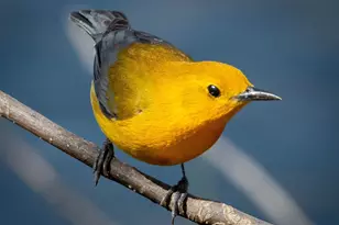 30169 513th Ave, Ottertail, MN 56571 - Photo 29