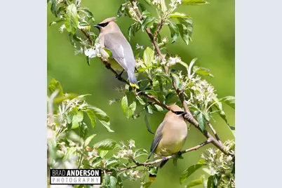 30169 513th Avenue, Ottertail, MN 56571 - Photo 31