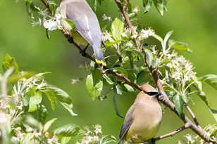 30169 513th Ave, Ottertail, MN 56571 - Photo 31
