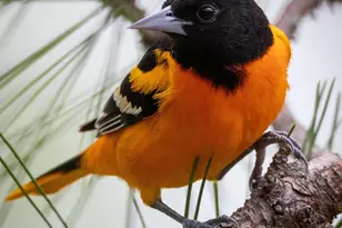 30169 513th Ave, Ottertail, MN 56571 - Photo 29