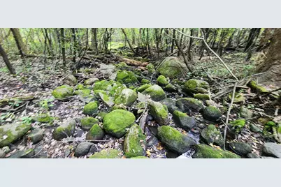 647 Stagecoach Road, Mantorville, MN 55955 - Photo 35