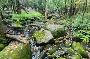 647 Stagecoach Rd, Mantorville, MN 55955 - Photo 41