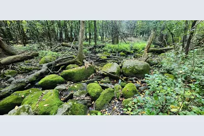 647 Stagecoach Road, Mantorville, MN 55955 - Photo 3