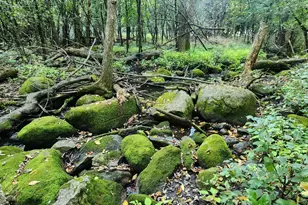 647 Stagecoach Rd, Mantorville, MN 55955 - Photo 3