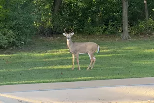 1224 US Hwy 12, Roberts, WI 54023 - Photo 59