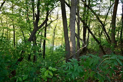 1124 River Drive NE, Red Lake Falls, MN 56750 - Photo 57