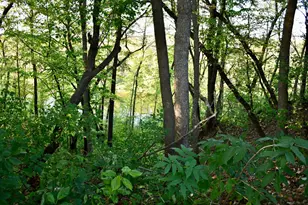 1124 River Dr NE, Red Lake Falls, MN 56750 - Photo 57