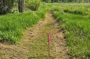 Tbd 360th St, Onamia, MN 56359 - Photo 1