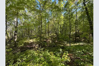 Tbd Kego Lake Road, Fifty Lakes, MN 56448 - Photo 13