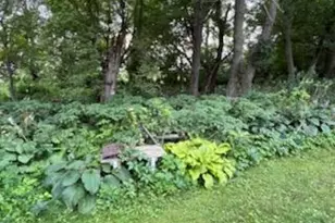 68540 300th St, Hartland, MN 56042 - Photo 63