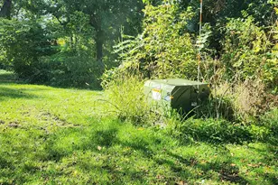 68540 300th St, Hartland, MN 56042 - Photo 11