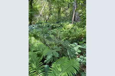 68540 300th Street, Hartland, MN 56042 - Photo 71