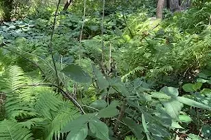 68540 300th St, Hartland, MN 56042 - Photo 71