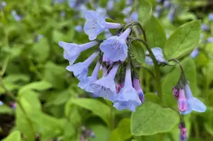 68540 300th St, Hartland, MN 56042 - Photo 69