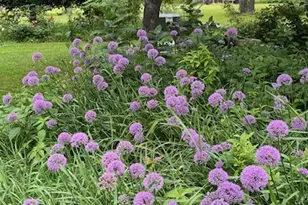 68540 300th St, Hartland, MN 56042 - Photo 73