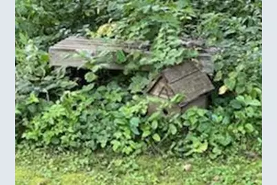 68540 300th Street, Hartland, MN 56042 - Photo 65