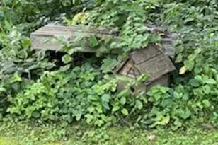 68540 300th St, Hartland, MN 56042 - Photo 65