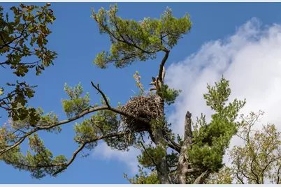 30968 State 200, Laporte, MN 56461 - Photo 37