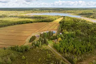 30968 State 200, Laporte, MN 56461 - Photo 53