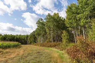 30968 State 200, Laporte, MN 56461 - Photo 69