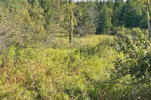 3990 County Line Rd, Sturgeon Lake, MN 55783 - Photo 7