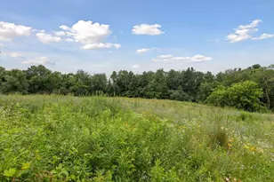 260 Salem Church Rd, Sunfish Lake, MN 55118 - Photo 59