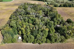 21553 Co Rd 34, Eden Valley, MN 55329 - Photo 67