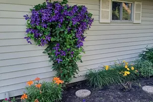 1115 Swanhill Dr, Albert Lea, MN 56007 - Photo 11