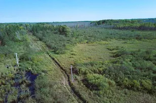 3Xxx County Rd 132, Kettle River, MN 55757 - Photo 3