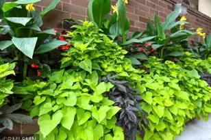 26 10th Street W, Saint Paul, MN 55102 - Photo 3