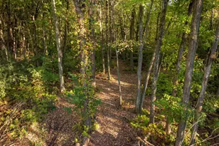 14298 Cross Lake Rd, Pine City, MN 55063 - Photo 7