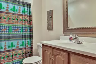6745 Wildflower Dr S, Cottage Grove, MN 55016 - Photo 63