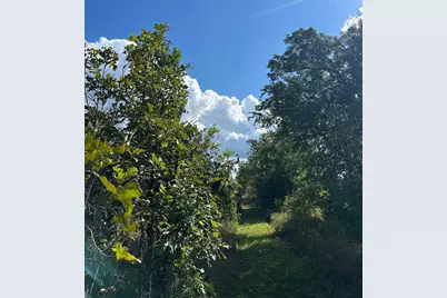 Xxx 424th Street, Harris, MN 55032 - Photo 5