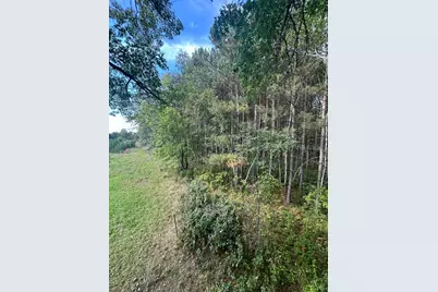 Xxx 424th Street, Harris, MN 55032 - Photo 7