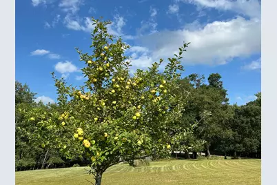 21087 National Street NE, East Bethel, MN 55011 - Photo 39