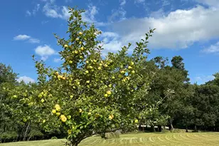 21087 National St NE, East Bethel, MN 55011 - Photo 39