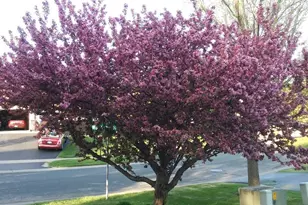 9902 Washington St NE, Blaine, MN 55434 - Photo 29