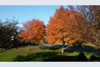 9902 Washington Street NE, Blaine, MN 55434 - Photo 31