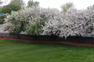 9902 Washington St NE, Blaine, MN 55434 - Photo 33