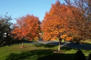 9902 Washington St NE, Blaine, MN 55434 - Photo 31