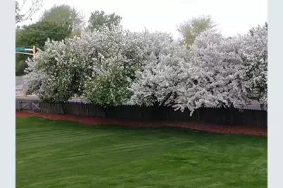 9902 Washington Street NE, Blaine, MN 55434 - Photo 33