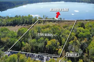 Tbd State Hwy 87, Nevis, MN 56467 - Photo 1