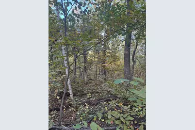 Tbd Dell Marie Place, Breezy Point, MN 56472 - Photo 1