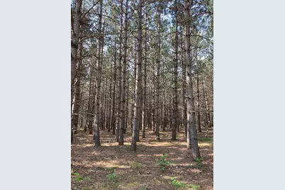 Lot 7 Fawn Lake Road, Crosslake, MN 56472 - Photo 5