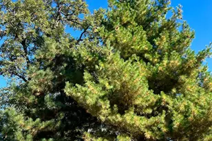 208 Hilltop Rd, Ottertail, MN 56571 - Photo 57