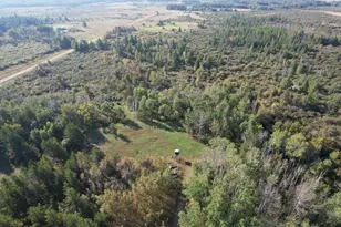 Tbd 350th St, Menahga, MN 56464 - Photo 1