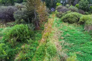 25464 560th St, Palisade, MN 56469 - Photo 1