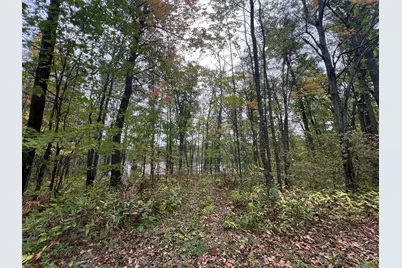 Tbd Red Oak Drive, Garrison, MN 56450 - Photo 15