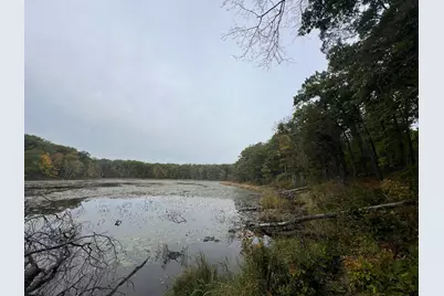 Tbd Red Oak Drive, Garrison, MN 56450 - Photo 7